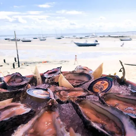 Konukevi La Du Ferret