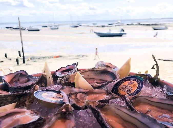 Gasthof La Du Ferret